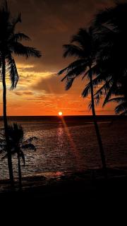 Sunrise Beach Front - 9