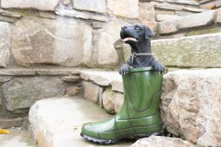 Guest House Fortuna - 1