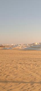 White Desert Safari trip , two days one night camping - 1