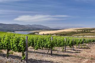 Tidesong - Luxury Villa, Benguela Cove - 3