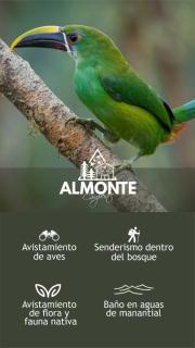 Almonte Glamping - 6