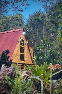 Almonte Glamping - 5