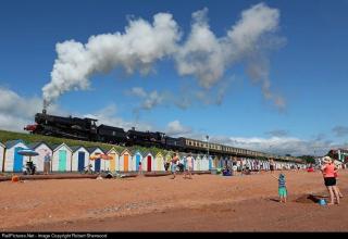 Sweetbriar House - Art Deco Torbay retreat - 7