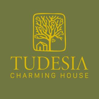Tudesia Charming house - 6