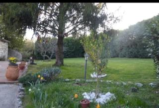 Tudesia Charming house - 5