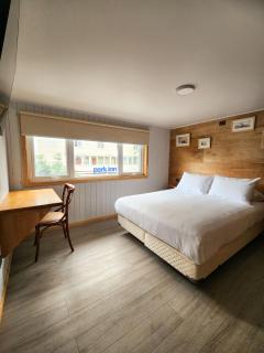 Suites Puerto Varas Camino al Corazón - 9