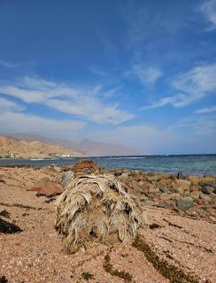Dahab Cozy Quiet Getaway Near the Sea - 7