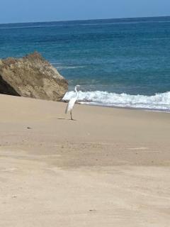 Casa Encino off the Grid by The Agency Baja - 9