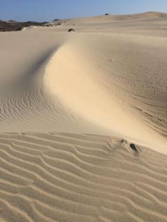 Casa Encino off the Grid by The Agency Baja - 5