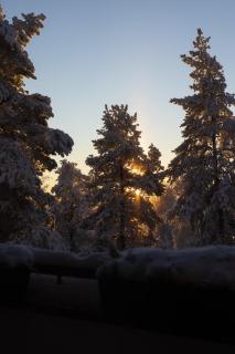 Magic Winter Forest Apartment - 1