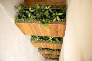 Paravian 704 Playa del Carmen - 8