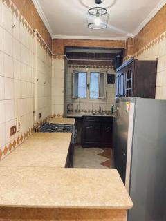 شقة فندقية العجوزة - 3