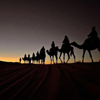 White Camp Desert Safari - 6