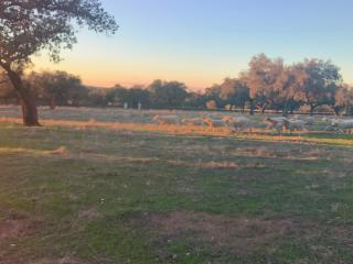 Casa Rural Abuela Remedios - 7