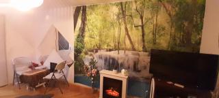 Dixi Studio Apartment - 2