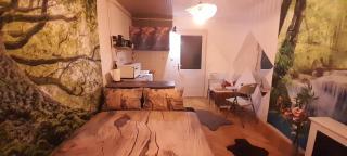 Dixi Studio Apartment - 3