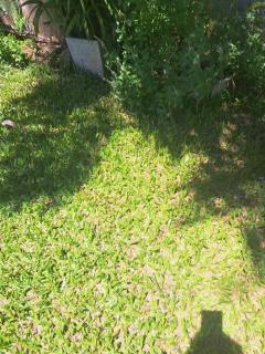 Acomodação em casa aconchegante - 5