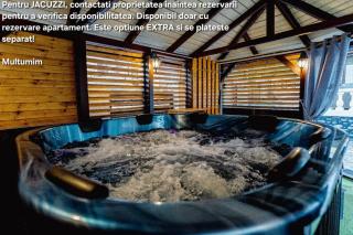 Premium Central Apartments - cu jacuzzi, terasa incalzita, parcare - 1