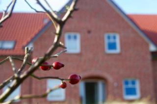 Sünnenhus Baltrum, Whg 15 - 2