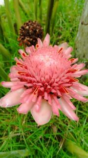 Pousada dos Comerciários Prainha de Mambucaba PARATY - 1