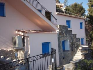 Villa Cannes La Coraillère - 2