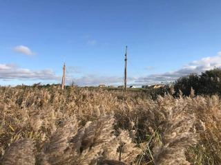 Seaside Serenity in Nymindegab-By Traum - 8