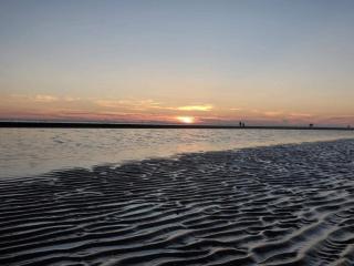 6 person holiday home in Fanø - 3