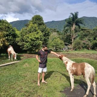 La Quinta de Andrés - 9