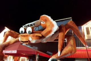 High Floor, Direct Oceanfront ViewsCamelot Resort - 6