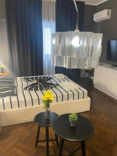 spacious 2 bdrm in city center - 7