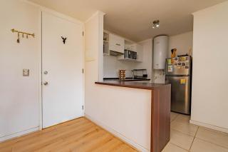 Entre Playa y Bosque Papudo - 6