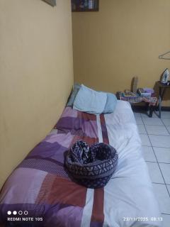 Apartamento Luna Bella - 7