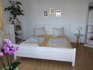 1 Norit Schlosser - 2