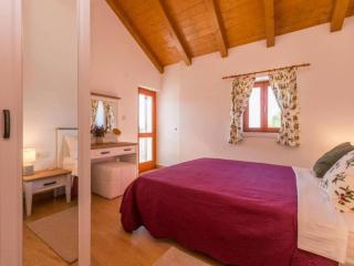 The Grandfather Villa Heated Pool Retreat - Stankovci - 2