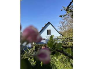 Holiday house in Wildberg with 1 bedroom - 7