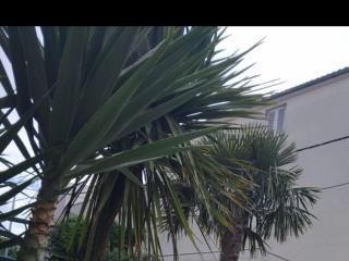 Villa Marija - Five Bedroom Villa with Terrace and Swimming Pool - 3