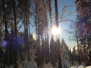 4 Michael Weiß Comfortable holiday residence - 1