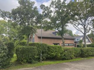 Oostkapelle Zeeland 2 - 0