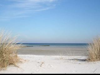 Great Crested Grebe Modern retreat - 3