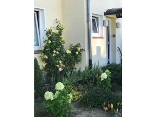 at the gates of Hamburg - Tespe - 9