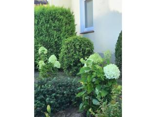 at the gates of Hamburg - Tespe - 0