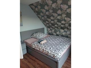 Tinla Comfortable Holiday Residence - 3