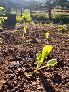 Alojamiento y Desayuno Privado de Lujo C1B - 3