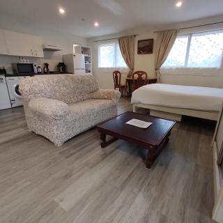 Quiet 40m Studio - Kitchen, Washer, AC, Work Desk - 8