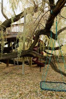 Willow South Cottage - 3