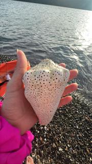 Casa Carao Peninsula de Nicoya - front beach - 5