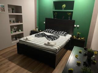 One big bedroom apartment in the heart of OLD TOWN - 7