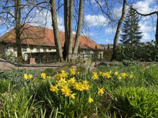 Rückzugsort mit Terrasse, Eschede - 5