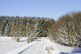 Wohnung Braunlage nahe Wurmberg Skigebiet - 1