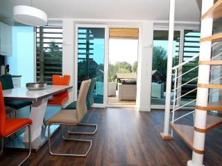 Chalet mit Außensauna in Wendorf - 3